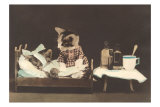 Kitten Nurse Prints