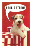 Feel Better, Schnauzer Puppy in Hat Box Prints