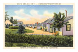 « Bob's Bar-B-Q », South Bend, Indiana Affiches