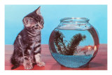 Kitten Watching Goldfish in Bowl Posters