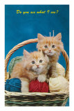 Do You See What I See Kittens in Basket with Yarn Posters