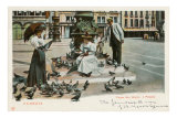 Pigeons in St. Mark's Square, Venice, Italy Pósters