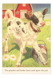 Calf with Pail Poster