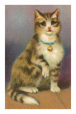 Tabby with Bell Prints