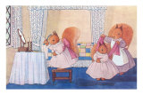 Domestic Squirrels in Bedroom Photo