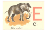 E is for Elephant Poster