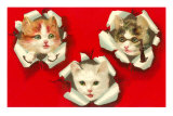 Three Kittens Poking out of Paper Prints