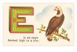 E is an Eagle Posters