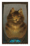 Coy Cat Prints