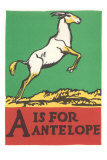 A is for Antelope Affiches