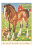 Colt with Puppy Posters