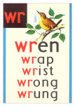 WR for Wren Plakater