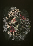 Guns N Roses - Skull Zdjęcie