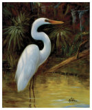 Tropical Egret I Poster by Kilian 