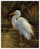 Tropical Egret II Prints by Kilian 