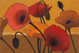 Poppy Curry III Posters by Shirley Novak