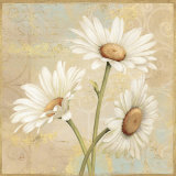 Beautiful Daisies II Print by Daphne Brissonnet