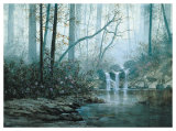 Transcending Forest Prints by Juan S. E. Archuleta