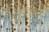 White Forest I Prints by Lisa Audit