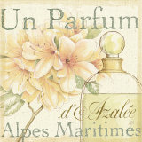 Fleurs and Parfum III Taide tekijänä Daphne Brissonnet Fleurs and Parfum III Taide tekijänä Daphne Brissonnet