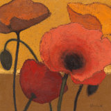 Shirley Novak - Poppy Curry I - Sanat