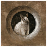 The Rabbit Prints by Pascal Cessou