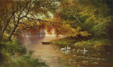 Swan Family in Automn Poster by Helmut Glassl