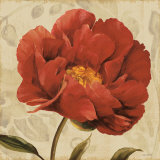 Floral Romance II Posters by Lisa Audit