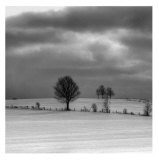 Winter Landscape I Prints by Jean-François Dupuis