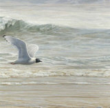 Au Fil de l'Eau I Prints by Pierre Leduc