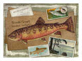Brook Trout Giclee Print by Kate Ward Thacker