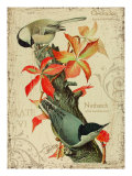 Chicadee Giclee Print by Kate Ward Thacker