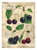 Cherry Giclee Print by Kate Ward Thacker
