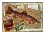 Brown Trout Giclee Print by Kate Ward Thacker