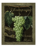 Champagne Giclee Print by Kate Ward Thacker