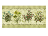 Herb Garden Giclee Print by Kate Ward Thacker