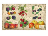 Gourmet Fruit Giclee Print by Kate Ward Thacker