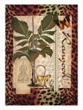Rangoon Giclee Print by Kate Ward Thacker