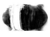 NIRVANA?The Place Where Buddha Exists is a Shade of a Tree Lámina giclée por Masaho Miyashima