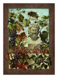 Baccus Giclee Print by Kate Ward Thacker