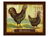Houdans Giclee Print by Kate Ward Thacker