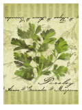 Perejil Lámina giclée por Kate Ward Thacker Perejil Lámina giclée por Kate Ward Thacker