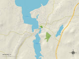 Political Map of Newport, VT Posters