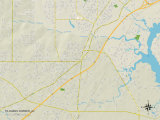 Political Map of Tillmans Corner, AL Prints