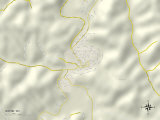 Political Map of Wayne, WV Posters