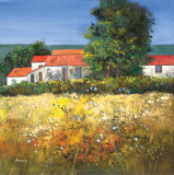 HAY FIELD IN THE DORDOGNE Limited Edition by Davy Brown HAY FIELD IN THE DORDOGNE Limited Edition by Davy Brown