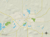 Political Map of Waupaca, WI Photo