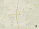 Political Map of Citronelle, AL Prints