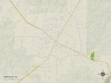 Political Map of Rainsville, AL Posters