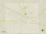 Political Map of Live Oak, FL Posters
